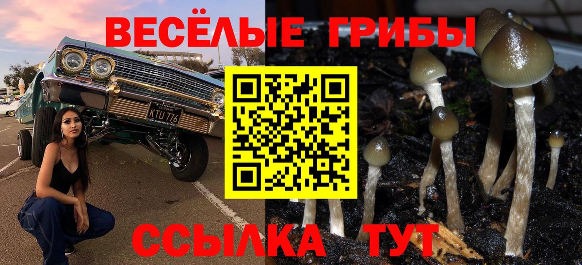 Чита  Псилоцибиновые грибы Magic Shrooms  Вход с VPN 