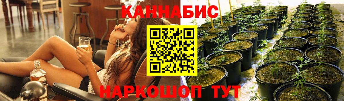 Конопля THC 21%  Бошки Шишки планчик  Бошки марихуана Bruce Banner  Чита  Вход с VPN  Бошки Шишки THC 21% 